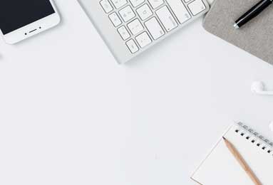 樊振东，继续在德甲打球